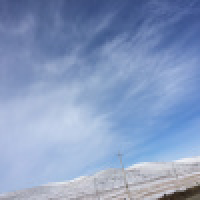 植发星静微惊吓妥