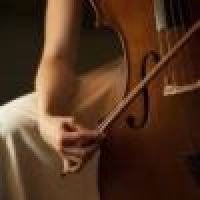 植发星凉菜弱受802