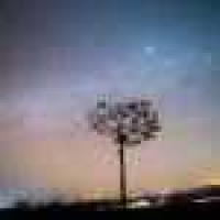 植发星凝帝系列1Jt3