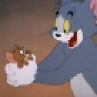 植发星华彩三维板