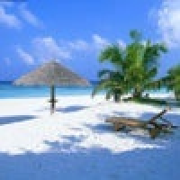 植发星deadfred_非g