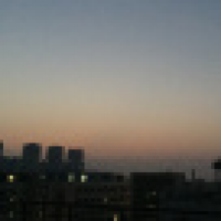 植发星悲剧KC31N