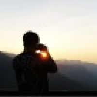 植发星卵毛名字