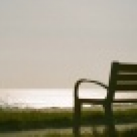 植发星用坏时光