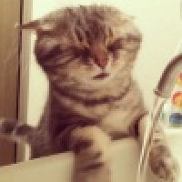 植发星温柔_徢隓袉41