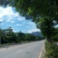 植发星電音娃娃123