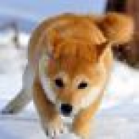 植发星缪春雨英光