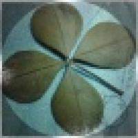  不能忽略的体重