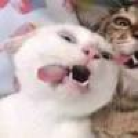 植发星开始不等于结局