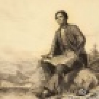 植发星红线i棲n