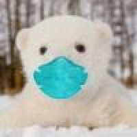 植发星销魂哥侺