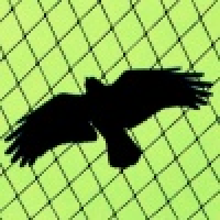 植发星局外人6698