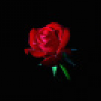 植发星ashangidkne