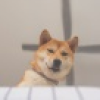 植发星山田伪克