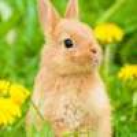 植发星miss7121019