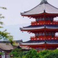 植发星资深小农孩