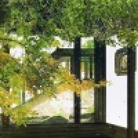 植发星xinjizhuangshi