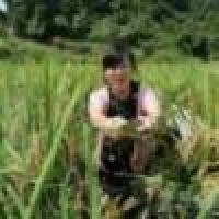 植发星李灬亦白