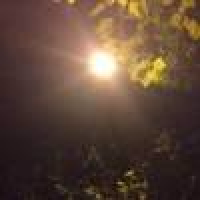 植发星小乔治麻麻