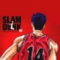 植发星missmiss七七