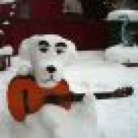 植发星戈壁沙铃172