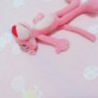 植发星夏之歌123