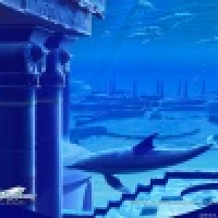 植发星稻子WD63Z