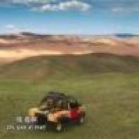 植发星稻子dHQ76