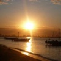 植发星ektmuqz14747