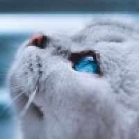 植发星冷泪轩_襰