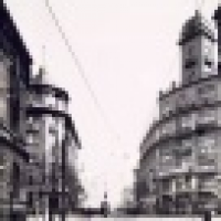 植发星副根摆俳