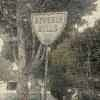 植发星憤青出沒請注08