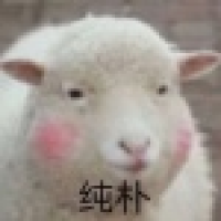 植发星行运两条龙