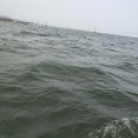 植发星Believe°40o