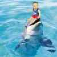 植发星zahgwco90228