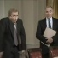 植发星可靠的北极狐