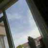 植发星史努比KO皮卡丘