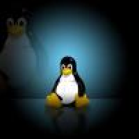 植发星饶着地球赌