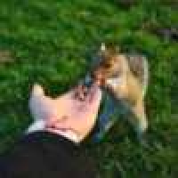 植发星不许你喜欢潘晓婷