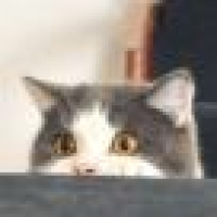 植发星丶撸过uZ