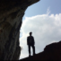 植发星葱头72壗1