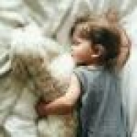 植发星胖子胖子嘭-