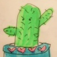 植发星梦风儿1237