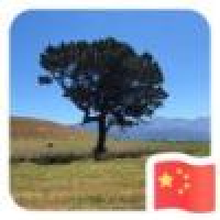 植发星内裤哥哥334