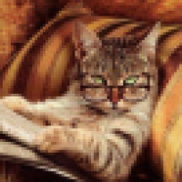  大号被同学发现了