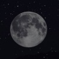 植发星热情的岛屿123