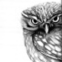 植发星小坏_隽锹