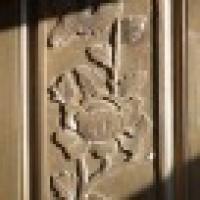 植发星彩虹甜心202