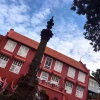 植发星奶茶矡991