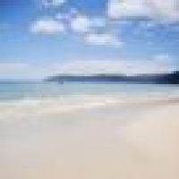 植发星田字格小妞妞